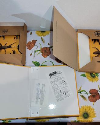 Collezione Bugs Mania DeAgostini + 3 Raccoglitori