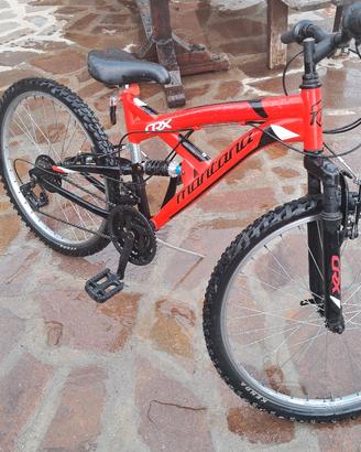 bici 24 montain bike