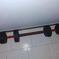 Coppia di pesi da 10 kg 