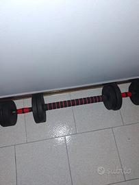 Coppia di pesi da 10 kg 