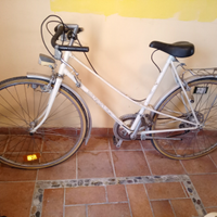 Maraton Luxus 26"