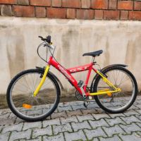 Mountain Bike bimbi
