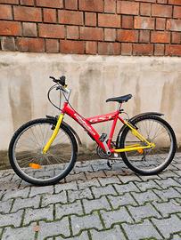Mountain Bike bimbi