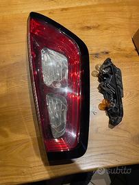 Luce posteriore punto EVO