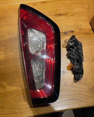 Luce posteriore punto EVO