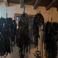 Finimenti per cavalli