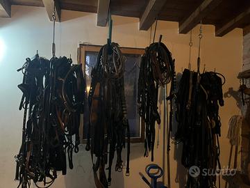 Finimenti per cavalli