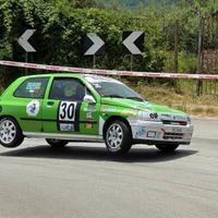 Renault Clio N.3 2.0 williams