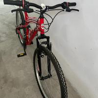 mountain bike