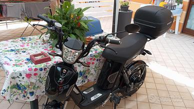 Bicicletta elettrica/scooter