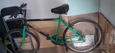 Bicicletta mountain bike