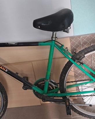 Bicicletta mountain bike