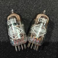 haltron ecc 88 coppia valvole britannica 