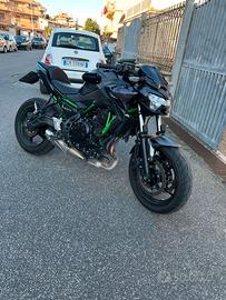 Z650 2024 (full power)