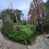 Terreno agricolo sull ' isola d 'Ischia
