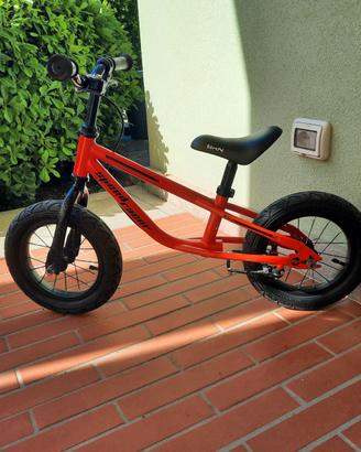 Bicicletta da bambino senza pedali