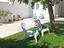 Immagine 11