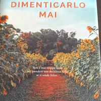 Non dimenticarlo mai di Federica Bosco