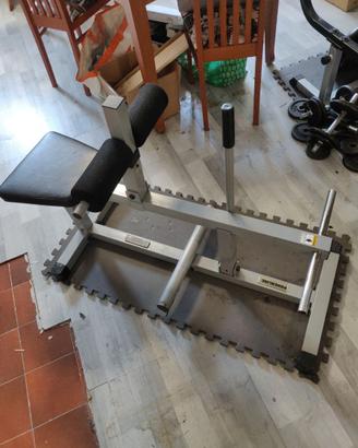 POWERLINE Macchina per polpacci PSC43X