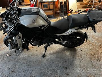Benelli trk
