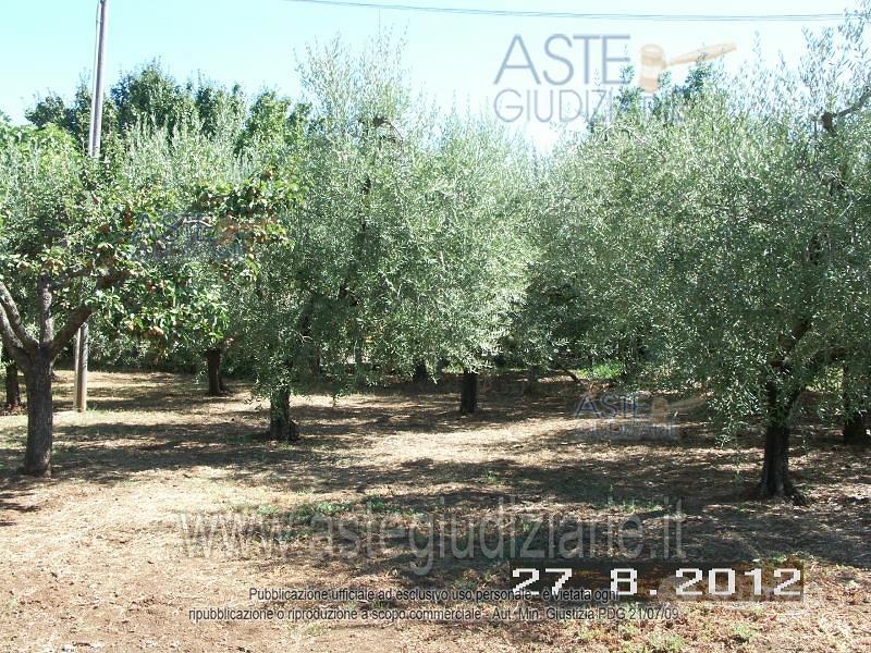 Appartamento – RM - Vista 2