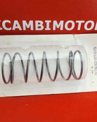 MOLLA PER PULEGGIA APRILIA