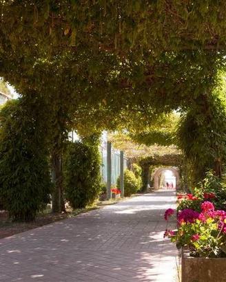 Appartamento di 91 m² con 2 locali a Cervia
