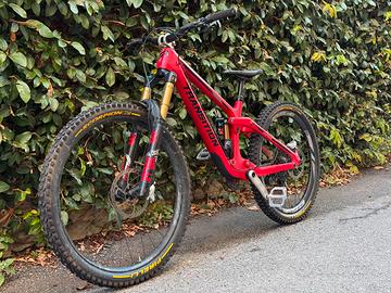 Transition Patrol carbon 2024