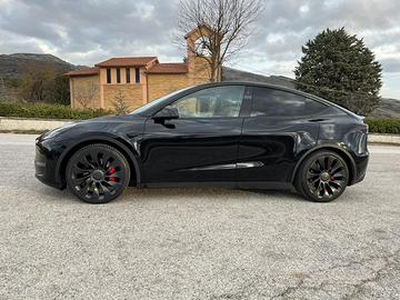 Tesla Model Y Performance