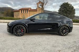 Tesla Model Y Performance
