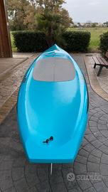 Sup RACE HOBIE CAT 