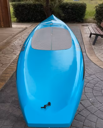 Sup RACE HOBIE CAT 