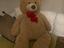 Immagine 1