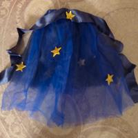 gonnellino carnevale 