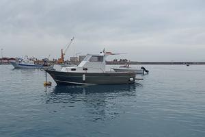 Gozzo dislocante  750