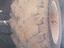 Immagine 5