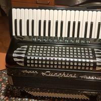 fisarmonica lucchini