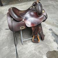 Sella americana Billy Cook