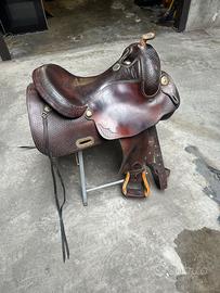 Sella americana Billy Cook