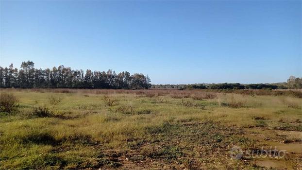 Terreno agricolo a Sa Segada