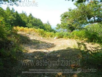 Terreno Agricolo Giffoni Valle Piana [A4276411]