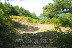 Terreno Agricolo Giffoni Valle Piana [A4276411]