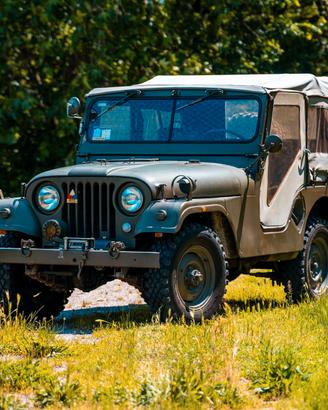 Willys M38 A1 MD