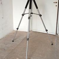 Trepiede Bilora e testa fotografica