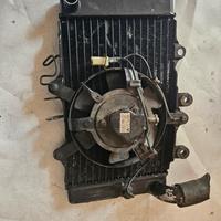 pezzi ricambio honda ntv revere 