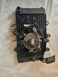 pezzi ricambio honda ntv revere 