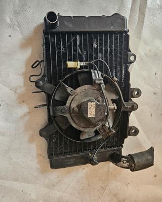 pezzi ricambio honda ntv revere 