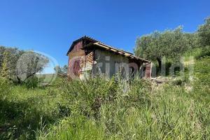 Rustico/Casale/Corte Mentana [Cod. rif 3313102VRG]