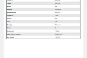 FIAT Punto 1ª serie - 2015