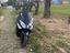 Immagine 2